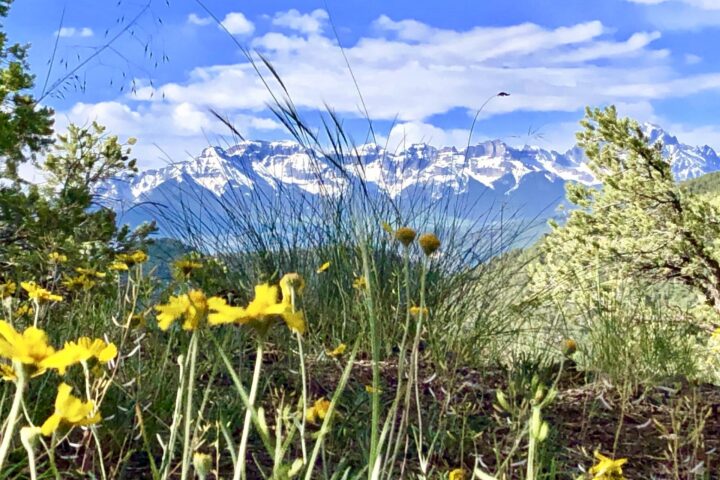 You Won’t Want to Leave Magnificent Ridgway State Park