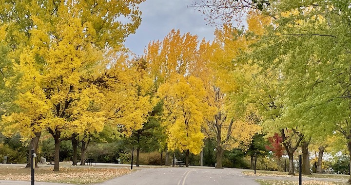 Relax & Play at Willow Creek S.R.A. in Northeast Nebraska